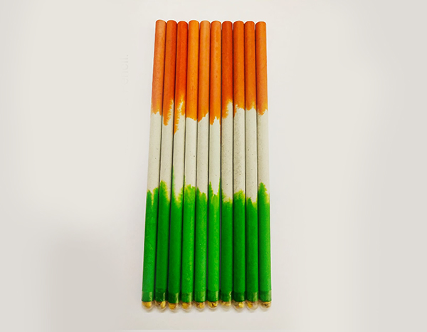 Tricolor Paper Seed Pencil